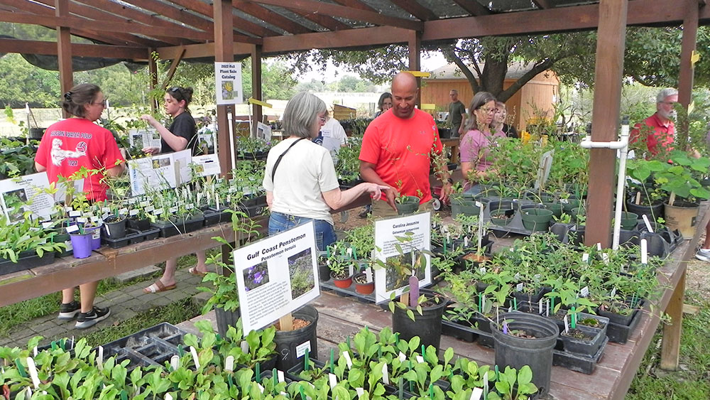 Shoppers browsing through a variety of native plants for sale