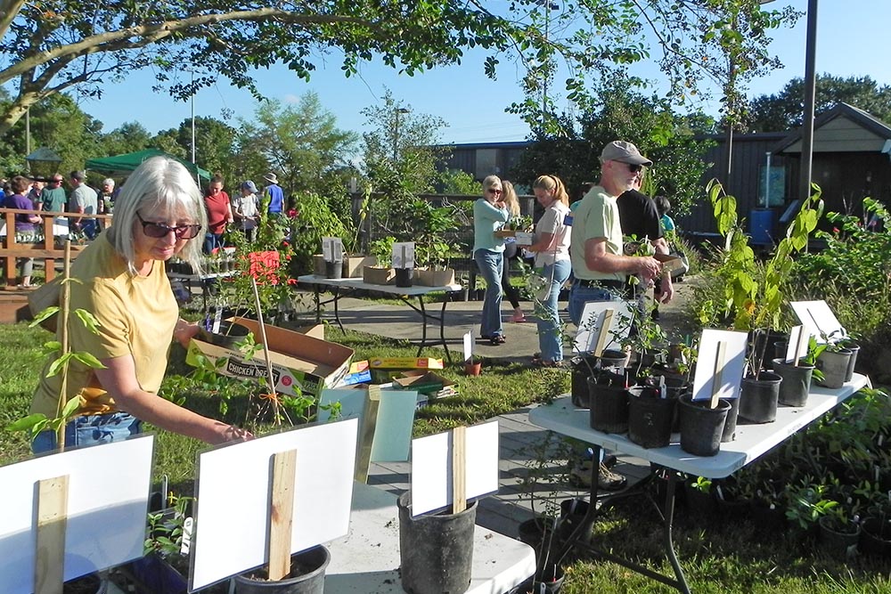 Shoppers browsing the plant selection at the sale.