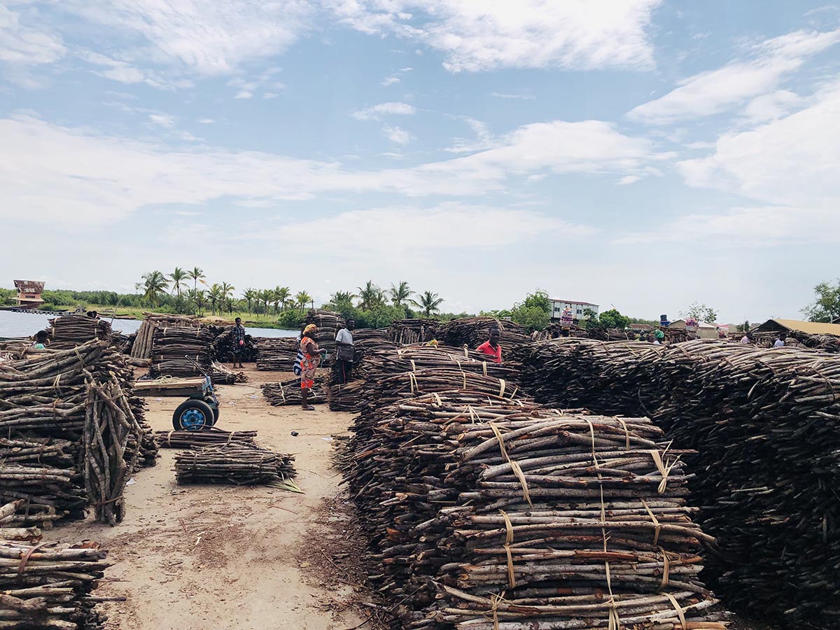 Stacks of mangrove wood at a market