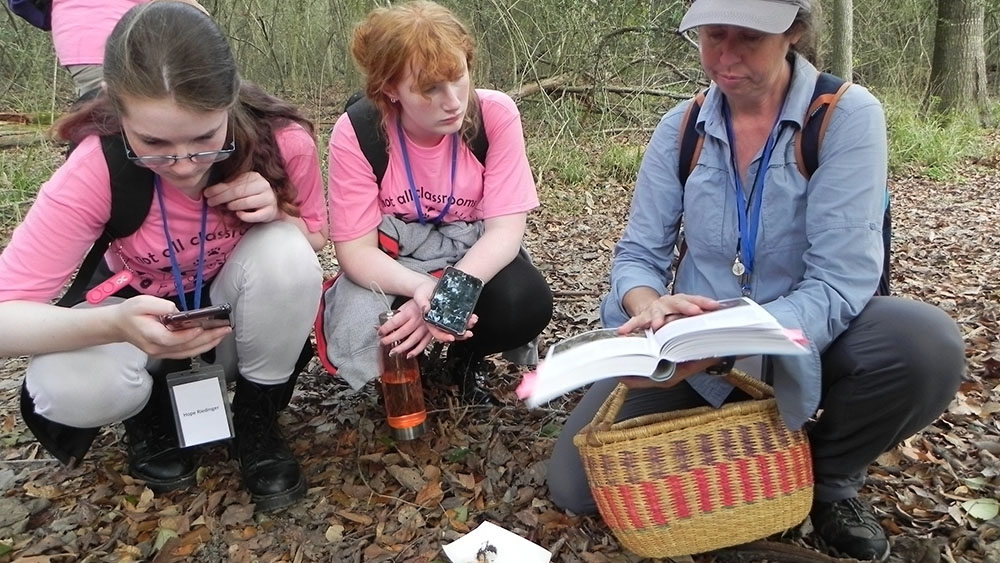 Two participants and an instructor use a guide to identify a mushroom.