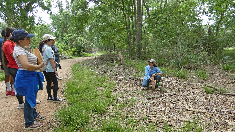 UHCL students at the nature trail on campus.