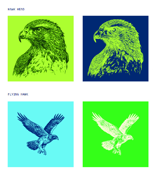 Hawk Illustration Examples